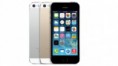 /album/th%c6%b0-vi%e1%bb%87n-%e1%ba%a3nh/a5s-fancy-colors58090-jpg/